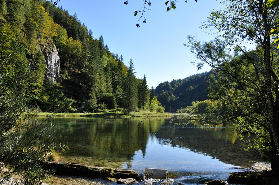 sommer-hochfilzen-1.jpg